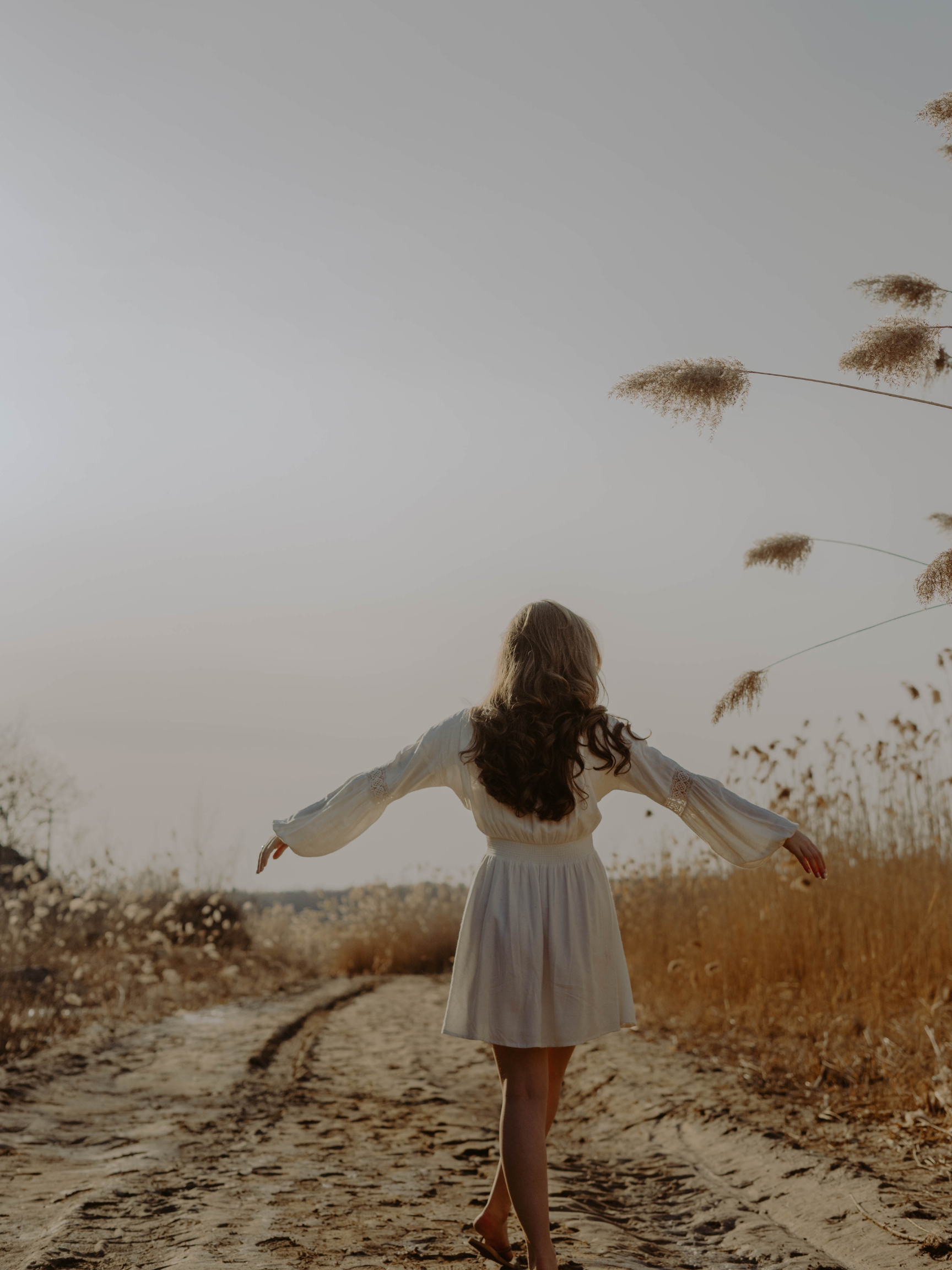 free, freedom
