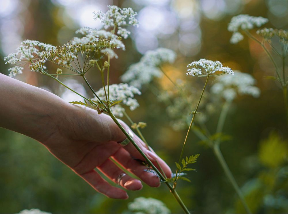 spring, spring cleaning, soft life
